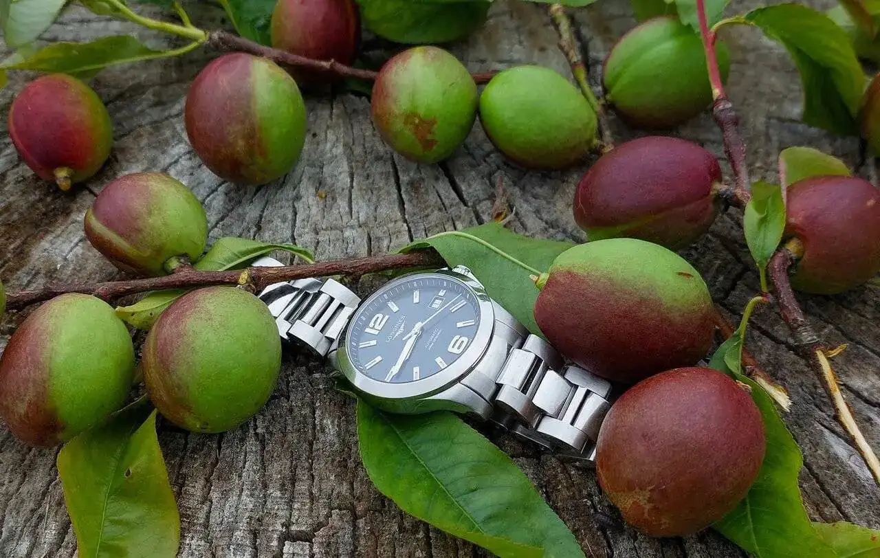 MAK20240611_092606 (2).webp