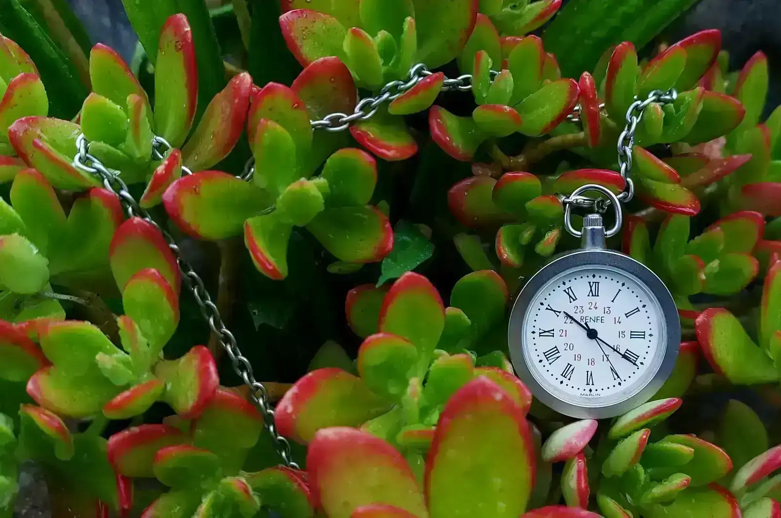 MAK20250515_095348 (2).webp