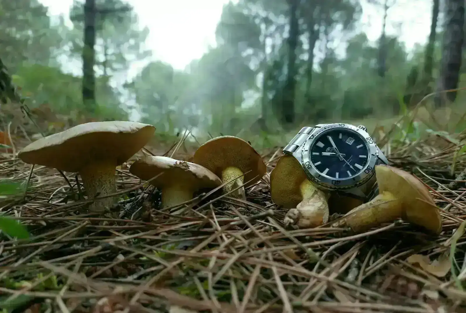 MAK20251011_100036 (2).webp