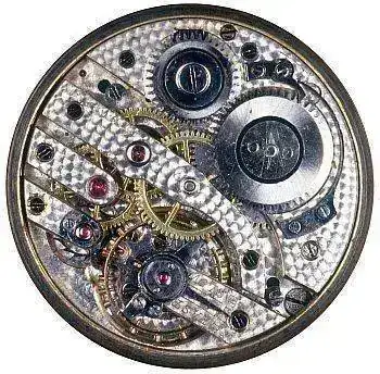 Mallory movement sm.jpg