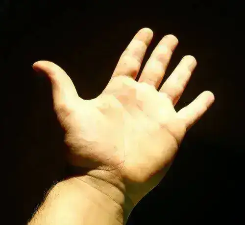 mano.webp