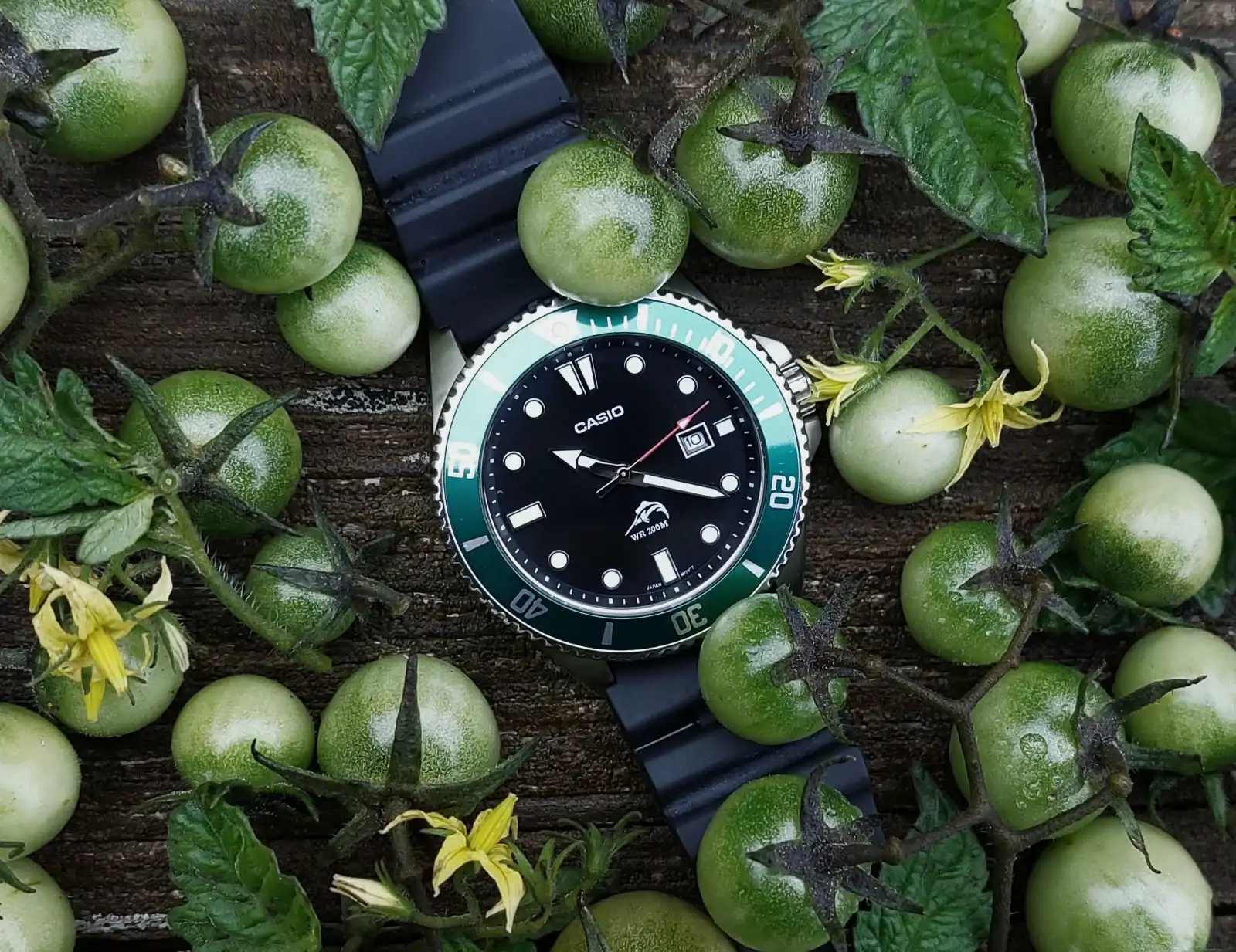 MAR20251101_102100 (1).webp