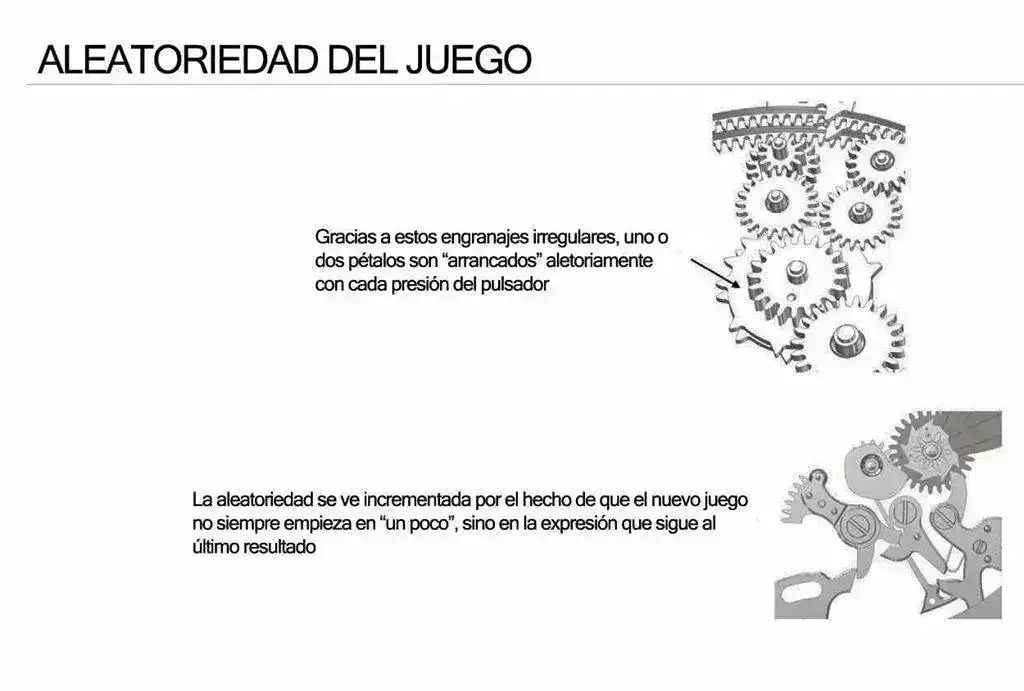 Margot_aleatoriedad.webp