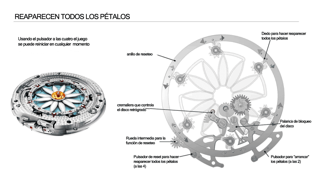Margot_Petalos_1.gif