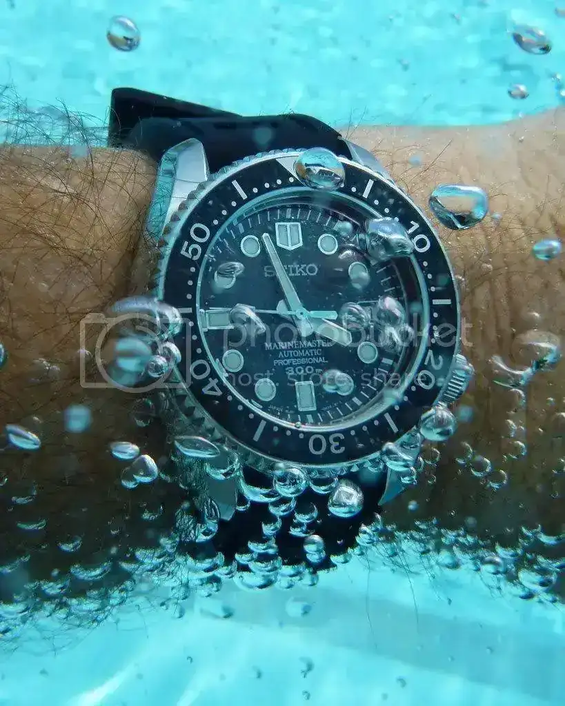 MarineMasterPool9-11-10038.webp
