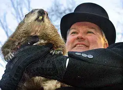 marmota-phil.webp