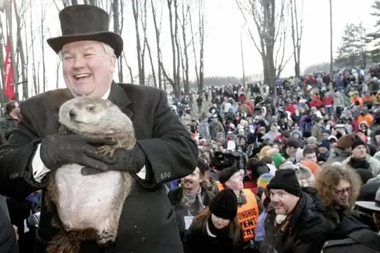 marmota.webp