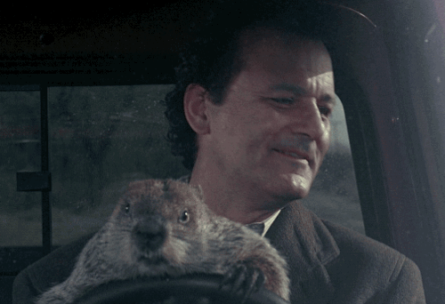 marmota9.gif