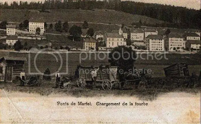 martel.webp