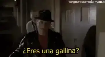 marty-mcfly-gallina.webp