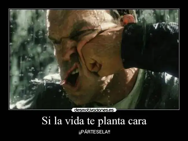 matrix_punch.webp