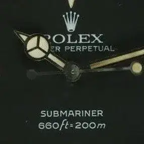 MaxiIIDailDetail2.webp