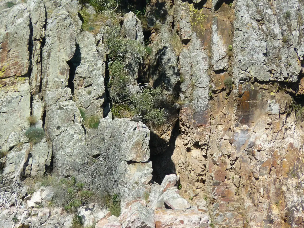 mayo,marbella,trujillo,monfrague 143.webp