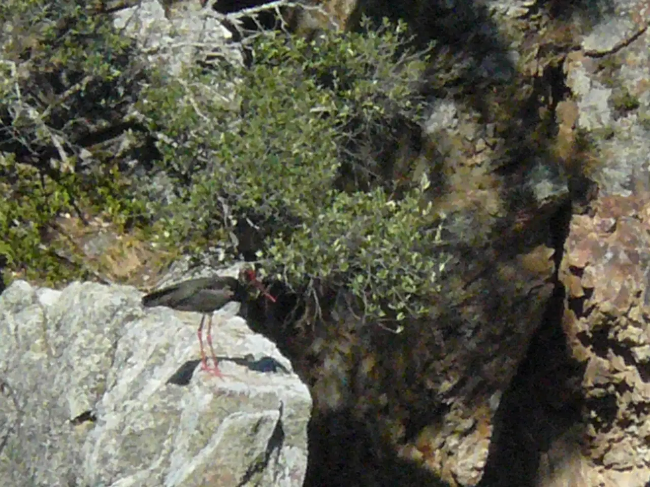mayo,marbella,trujillo,monfrague 145.webp