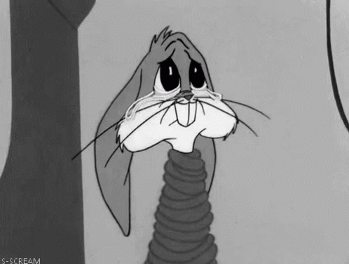 MeagerEmbarrassedBluebird-max-1mb.gif