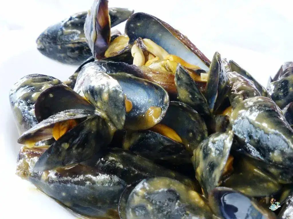 MEJILLONES-DELTA-DEL-EBRO.webp