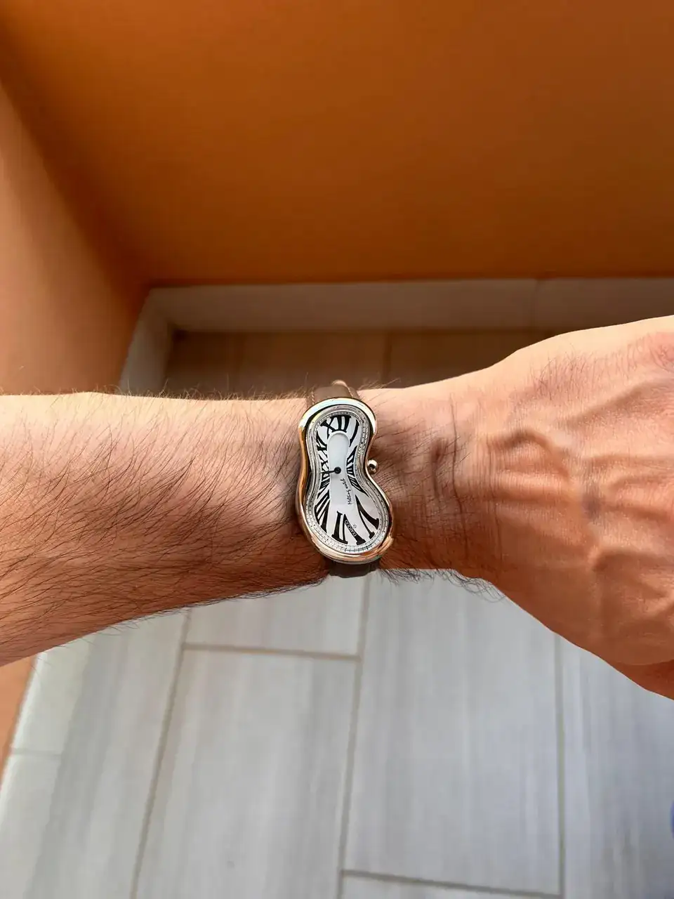 MELTING WATCH 2.webp