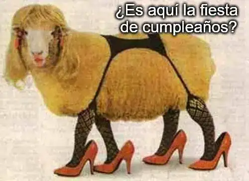 meme-cumpleanos-oveja-sexy-whatsapp-facebook.webp