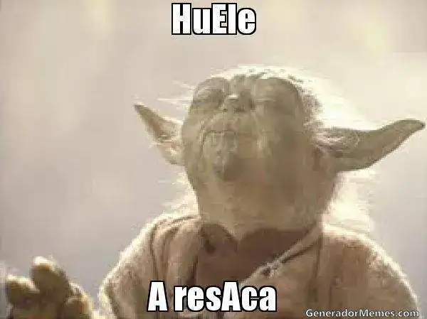 memes-de-resaca1.webp