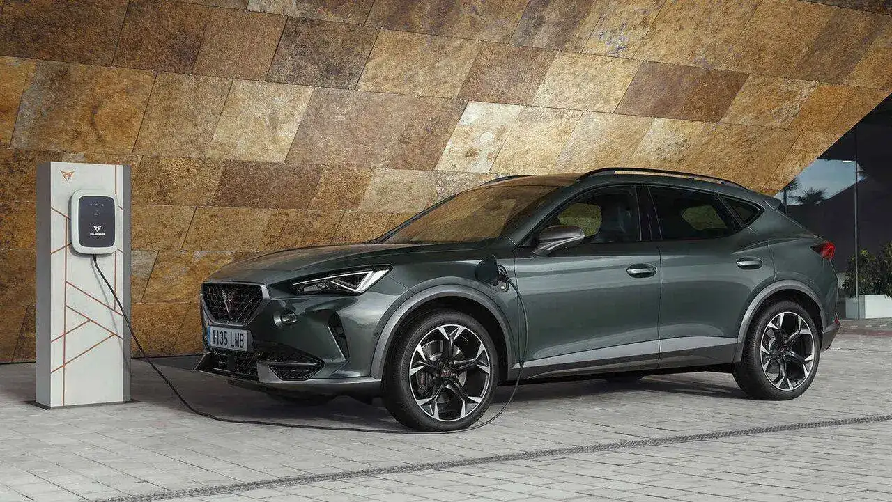 MI  cupra  Panito.webp