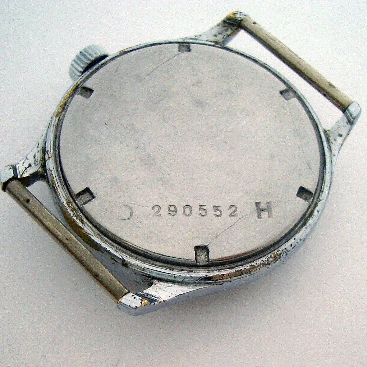 Mi Titus germano_holandés 2.jpg