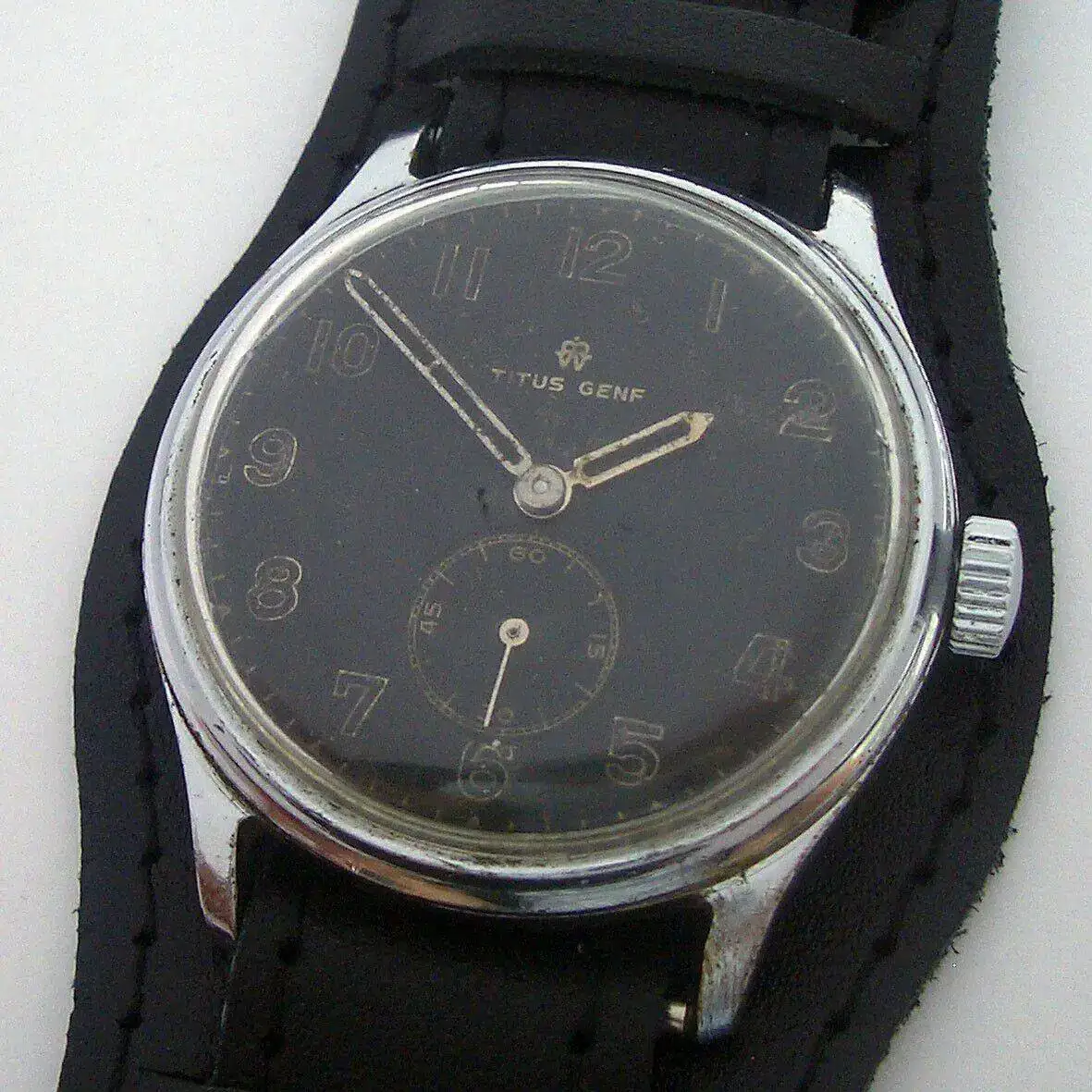 Mi Titus germano_holandés 4.jpg