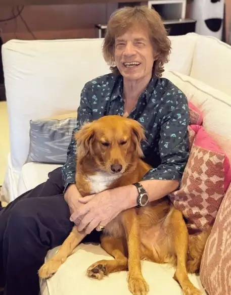 mickjagger.webp