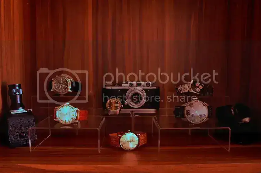 Micoleccioacuten01.webp