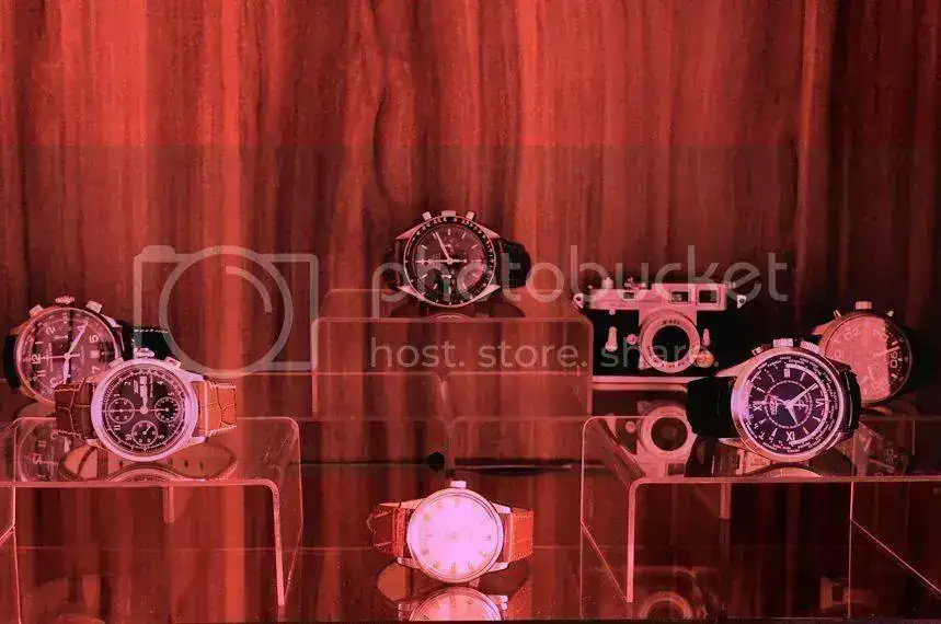 Micoleccioacuten02.webp