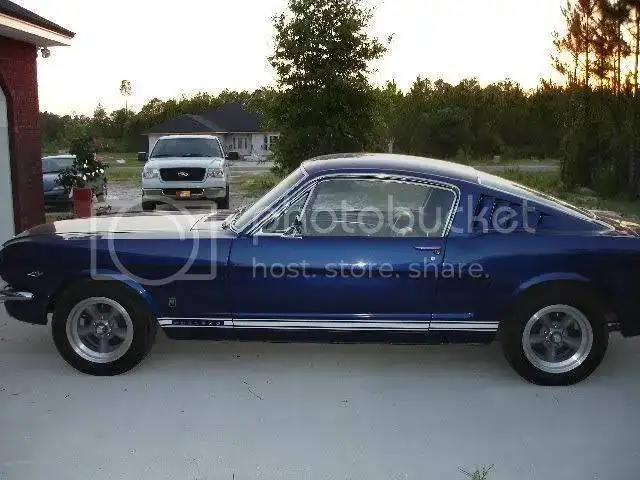 MidnightBlueMustang.webp