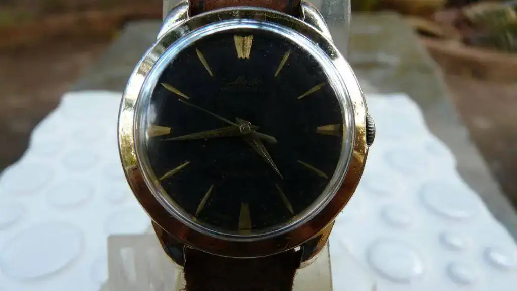 mido a.webp