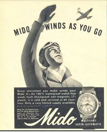 MIDO beim fliegen.webp