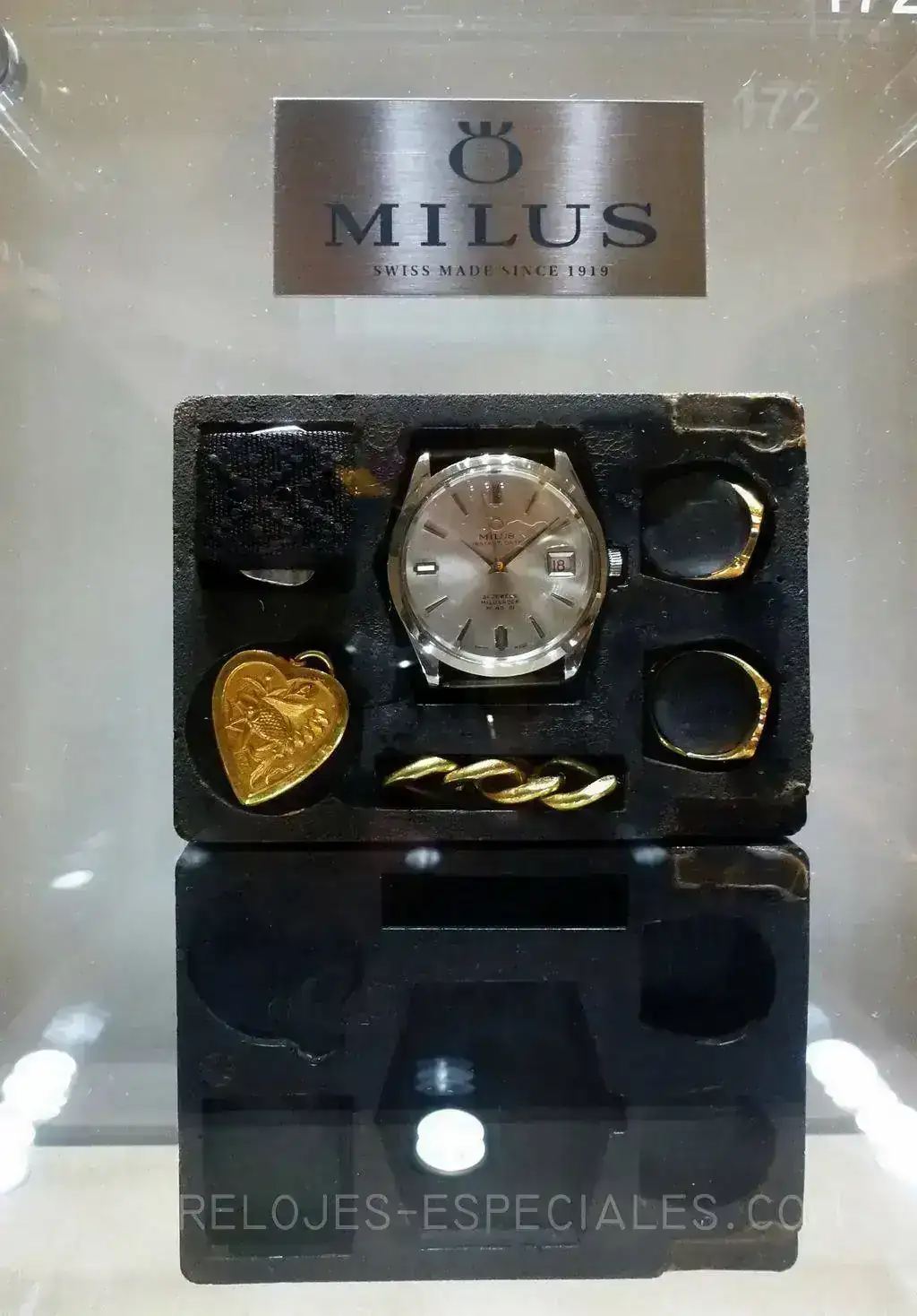 Milus-snow-1.webp