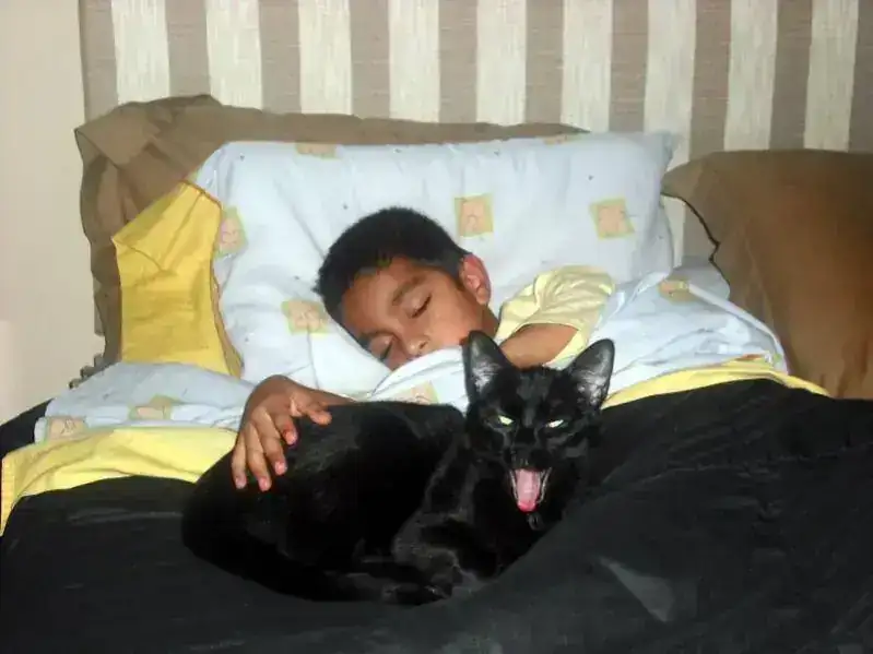 mimi.webp
