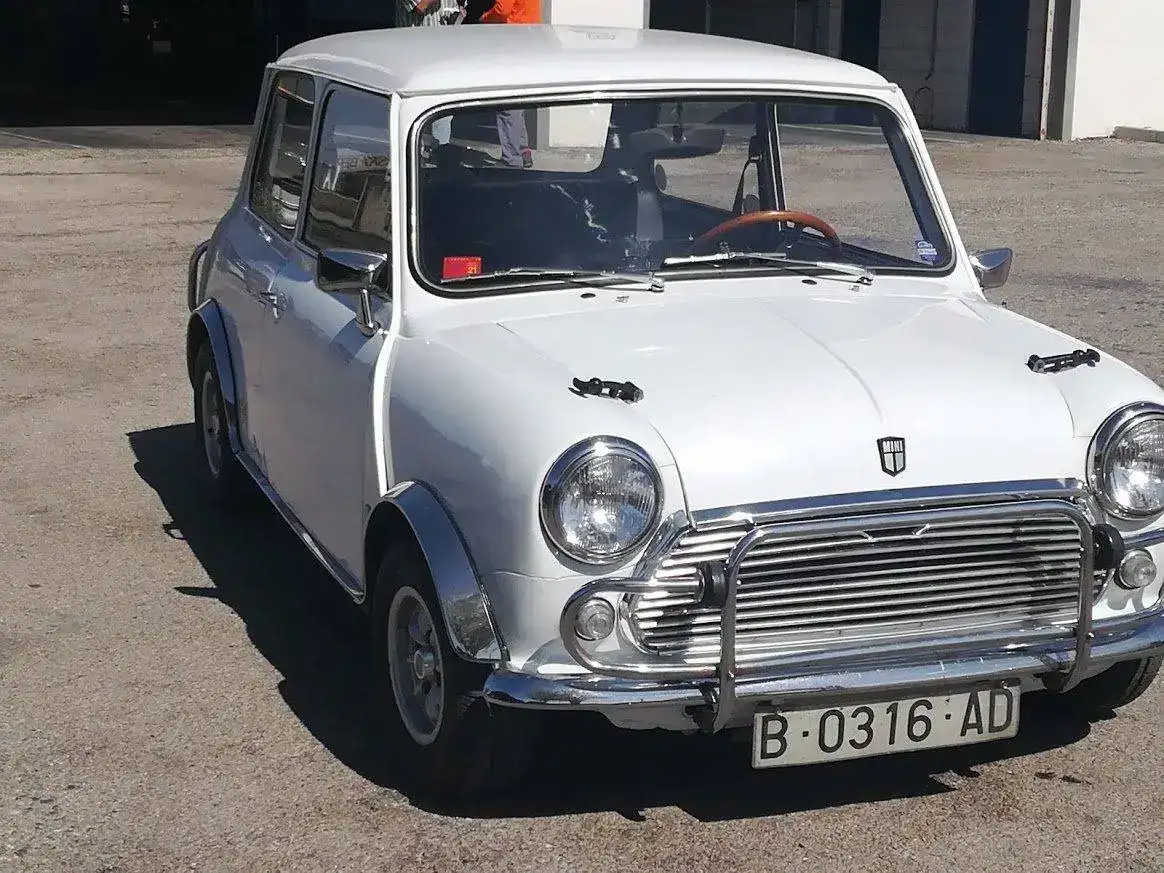 MINI.webp