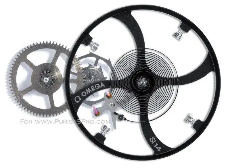 ml_image.1085146.webp