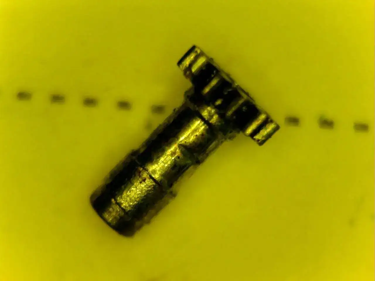 mmexport1614493289240.jpg