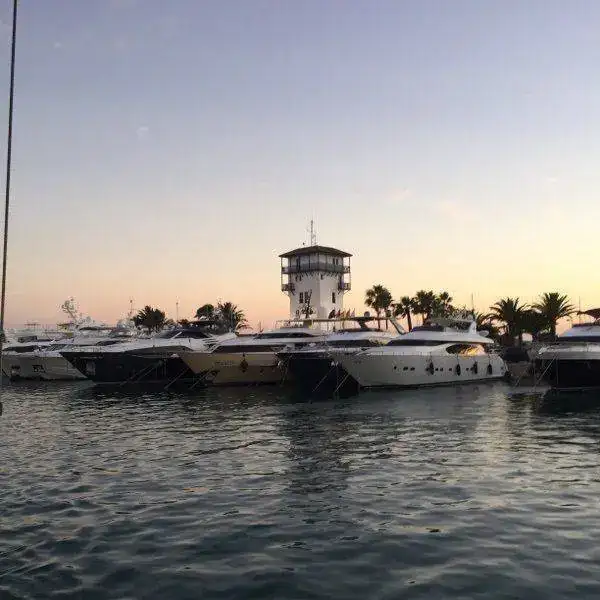mobile.2641btucf.webp