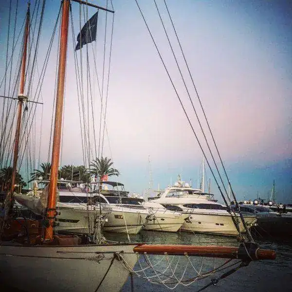 mobile.2642lbult.webp