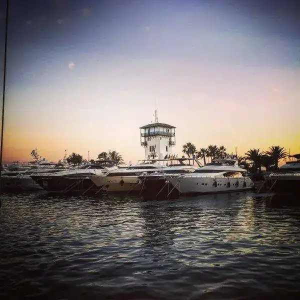 mobile.2647s4ulq.webp