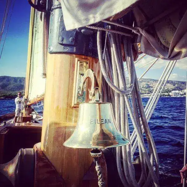 mobile.2656bku5o.webp