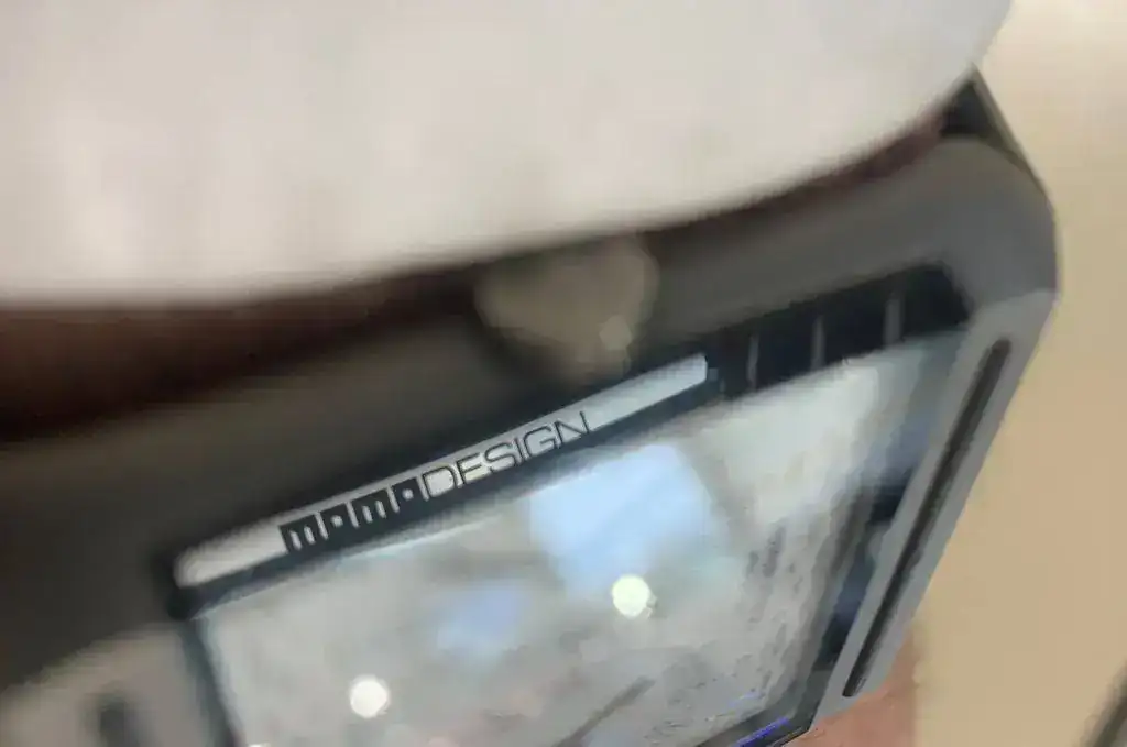 momo 2.webp
