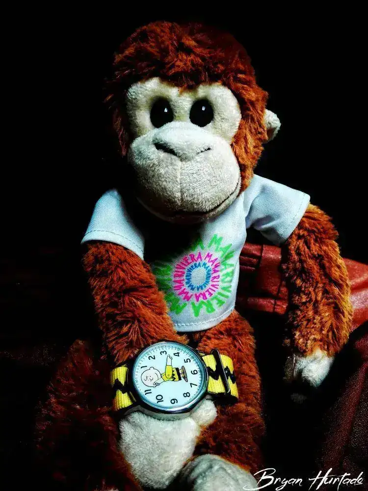 Monkey Diamonds.webp