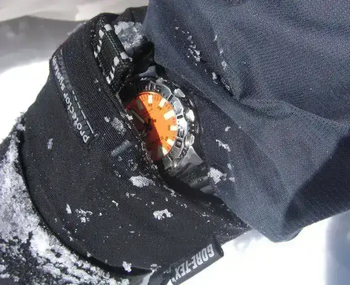 monster_over_ski_jacket.webp