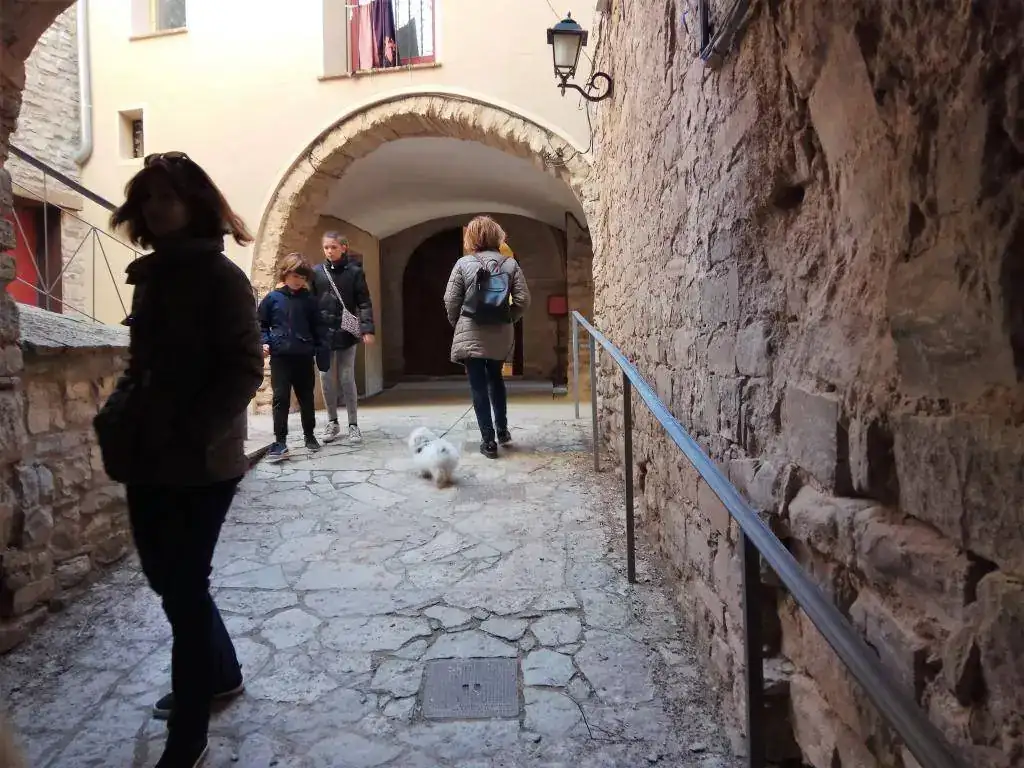MONTFALCO 2.webp