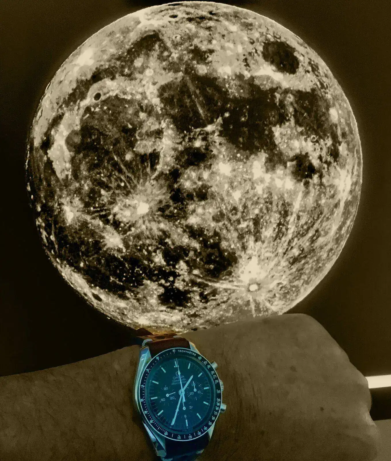 moon bn.webp