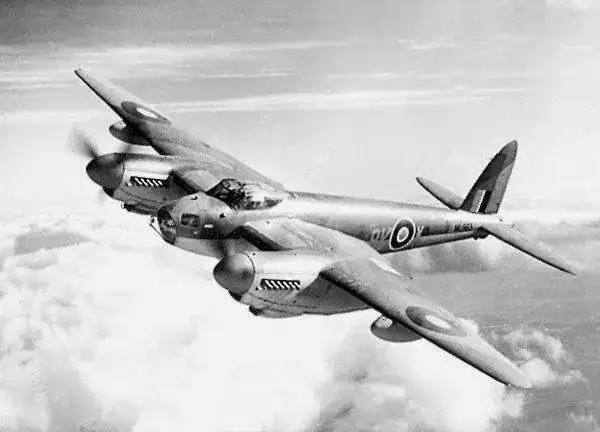 Mosquito_600pix.webp