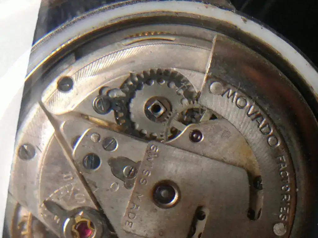 Movado 10.webp