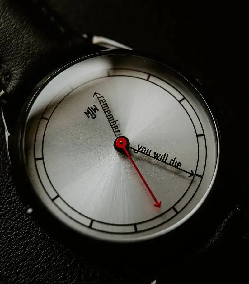 Mr-Jones-Red-Watch1_800x.webp