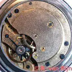 MST_12.webp